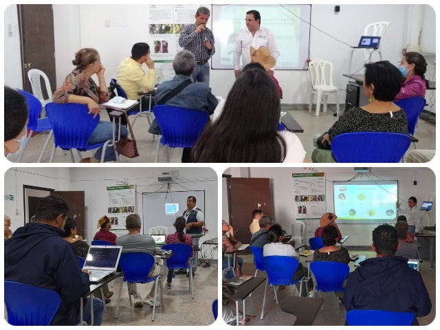 Productores de cacao fueron capacitados por el ICA en Quindío sobre BPA