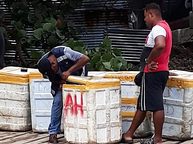 El ICA mantiene vigilancia y control activo en Chocó para mantener el estatus libre de aftosa 