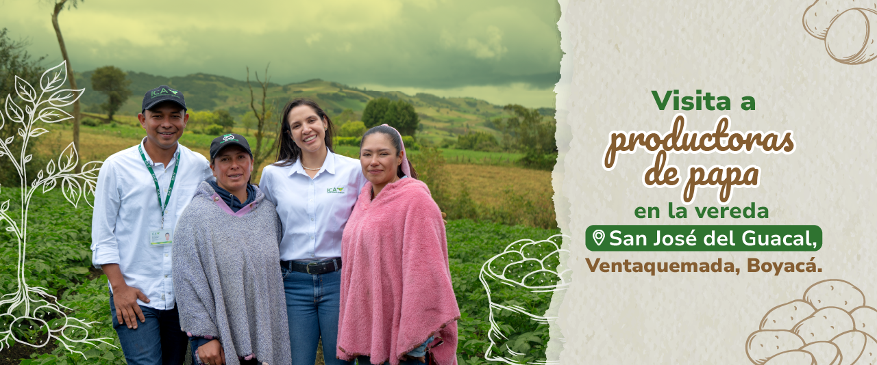 Banner Visita Ventaquemada