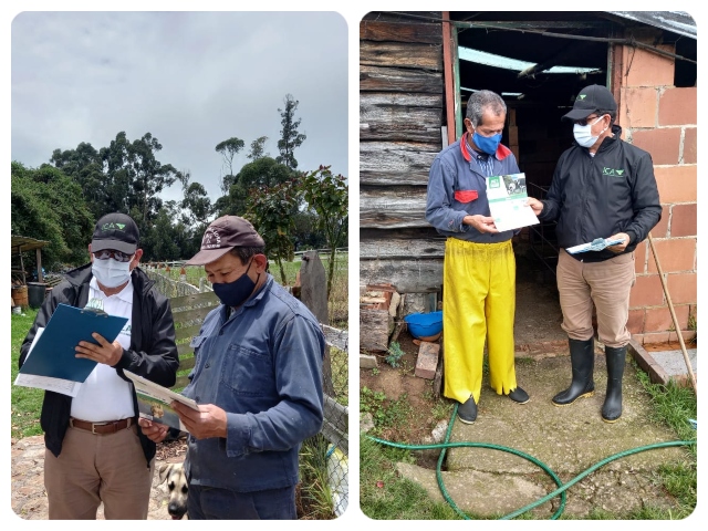 Producción de cerdos en Cogua, con sanidad y competitividad 