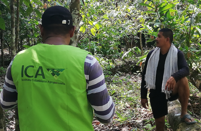 Cultivos agrícolas en zonas indígenas de Guainía fueron inspeccionados por el ICA