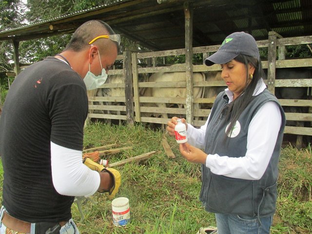 Informe especial: La vacunación es la mejor forma de proteger la sanidad animal 