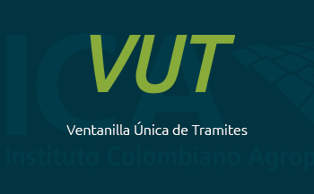 VUT