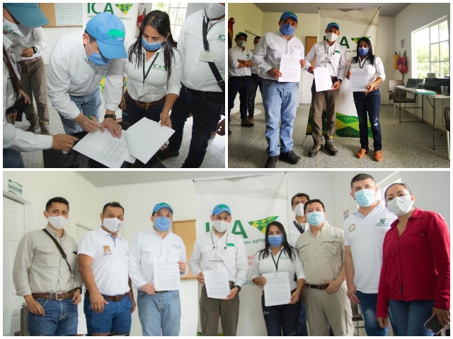 En el Putumayo, el ICA registró viveros como productores y distribuidores de cacao y de especies forestales