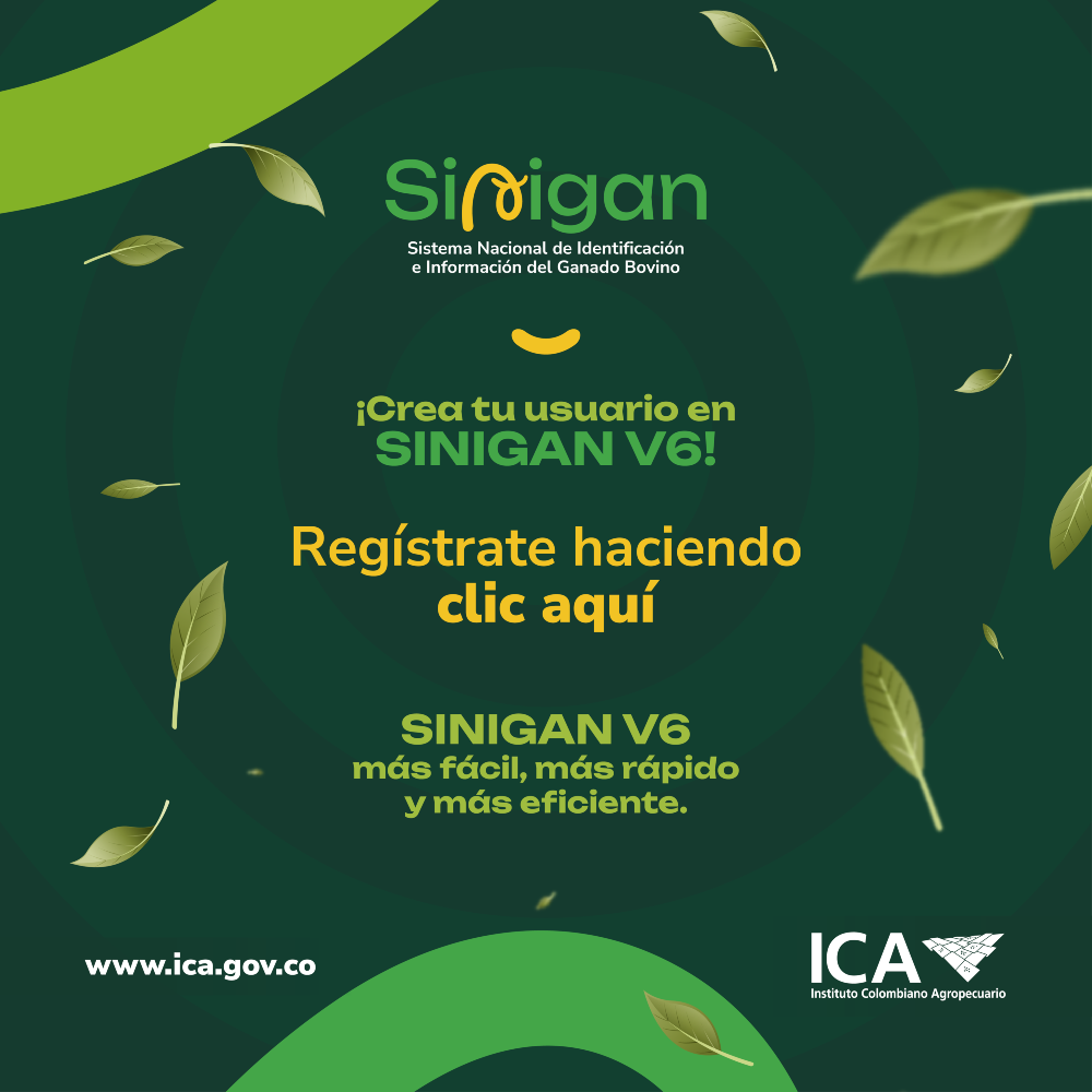 SINIGAN-V-6