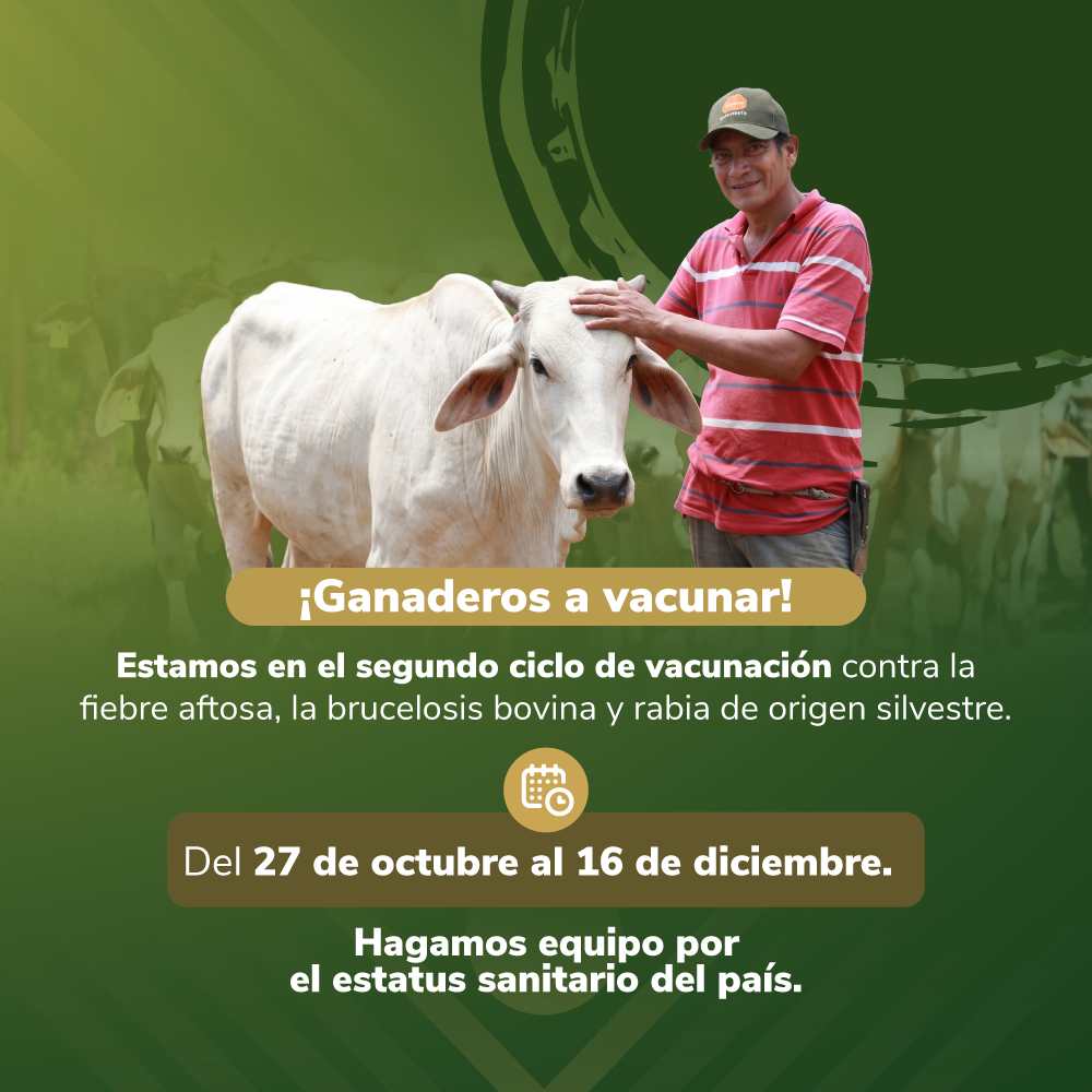 Ganaderos a vacunar