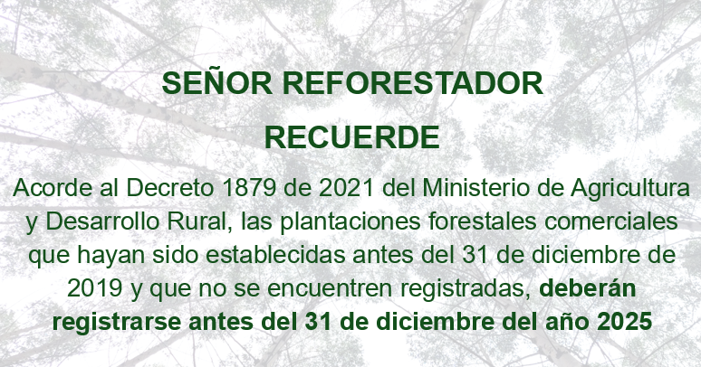 Decreto-plantaciones-2019.png