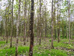 IMG_20210312_114415.jpg