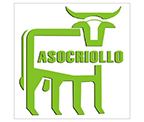 Asociación Nacional de Ganado Criollo y Colombiano Asociación Nacional de Ganado Criollo y Colombiano