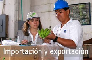 Información de interés