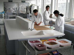 Laboratorio de análisis de calidad de semillas