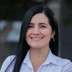 Director Técnico