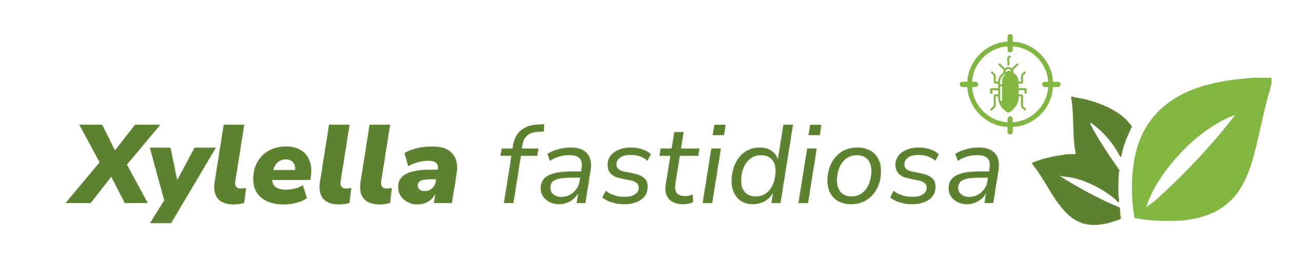 Encabezado Xylella Fastidiosa