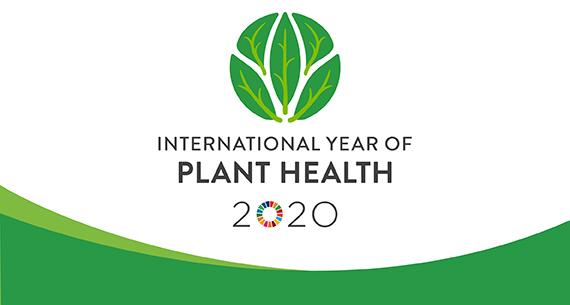 International Year of Plant Health