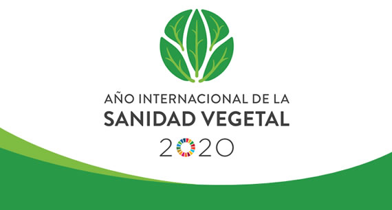 Año Internacional  de la Sanidad Vegetal